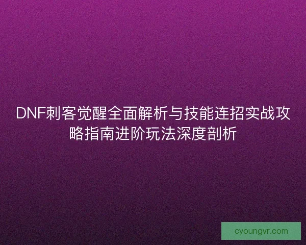 DNF刺客觉醒全面解析与技能连招实战攻略指南进阶玩法深度剖析